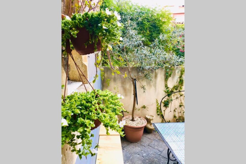 Oli'S Charming House Villa Catania Exterior photo